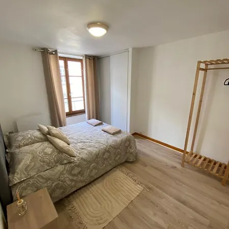 Le Cosy Montferrandais Apartment